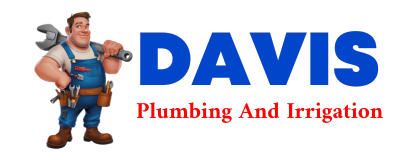 Trusted plumber in IONE